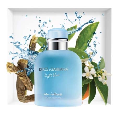 Dolce & Gabbana Light Blue Eau Intense Pour Homme bottle with citrus, floral, and aquatic notes